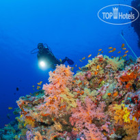Brennia Kottefaru Brennia Kottefaru House Reef