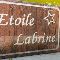 Etoile Labrine 