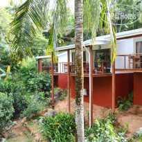 Cashew Nut Grove Chalets 