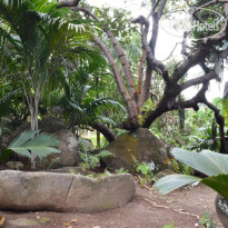 Cashew Nut Grove Chalets 