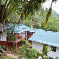 Cashew Nut Grove Chalets 