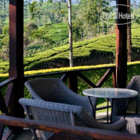 Ceylon Tea Trails 