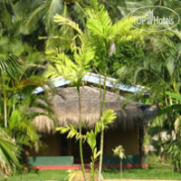 Mangrove Villa - Bentota River 2*