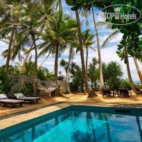 Taru Villas - The Muse 