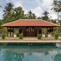 Taru Villas - The Muse 