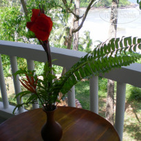 Hiru Villas 
