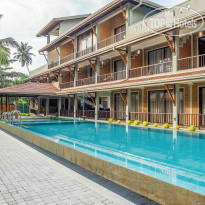 Anura's Elephant Hotel