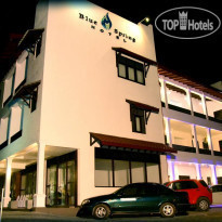 Blue Spring Hotel 