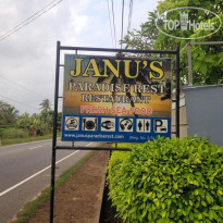 Janus Paradise Rest 