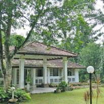 Plantation Villa 