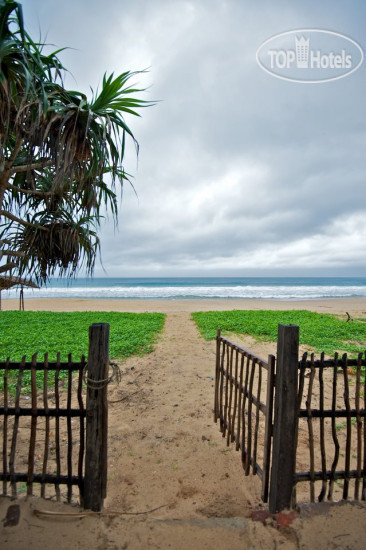 Фото Roman Beach