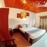 Apollo Hotel 3*