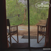 Mahoora Tented Safari Camp - Bundala 