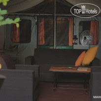 Mahoora Tented Safari Camp - Bundala 