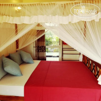 Coral Palm Villa & Appartments 