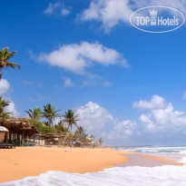 Tevins Place Hotel 