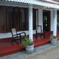 Palm Villa