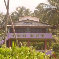 Greenpeace Inn 