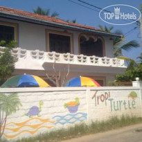 Tropi Turtle Guesthouse 