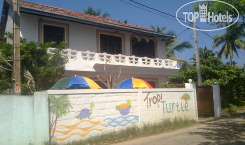 Фото Tropi Turtle Guesthouse