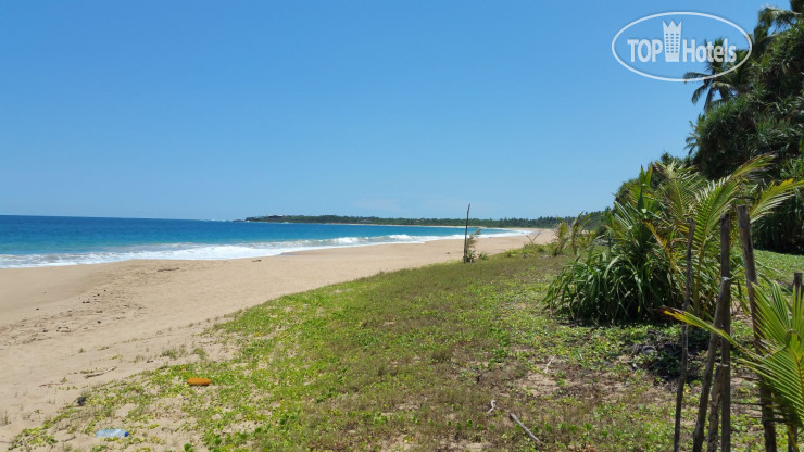 Пляж в Reveron Plaza 4*