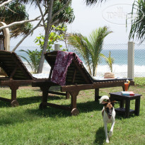 Lanka Beach Bungalows 