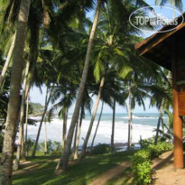 Palm Paradise Cabanas Внешний вид