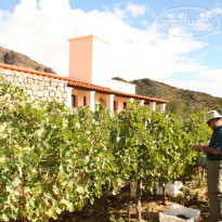 Vinas de Cafayate 