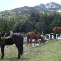 Las Morillas Huemul 