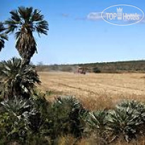 Estancia San Pedro Viejo 