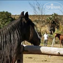 Estancia San Pedro Viejo 