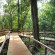 La Cantera Lodge de Selva Iguazu 