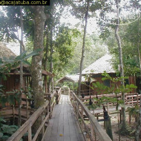 Acajatuba Jungle Lodge 