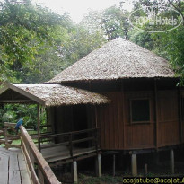 Acajatuba Jungle Lodge 