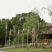 Amazon Ecopark Jungle Lodge 