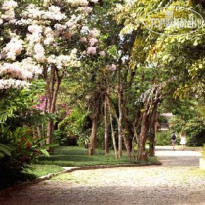 Hotel do Bosque 