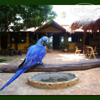 Araras Eco Lodge 