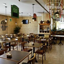 Ibis Taubate 
