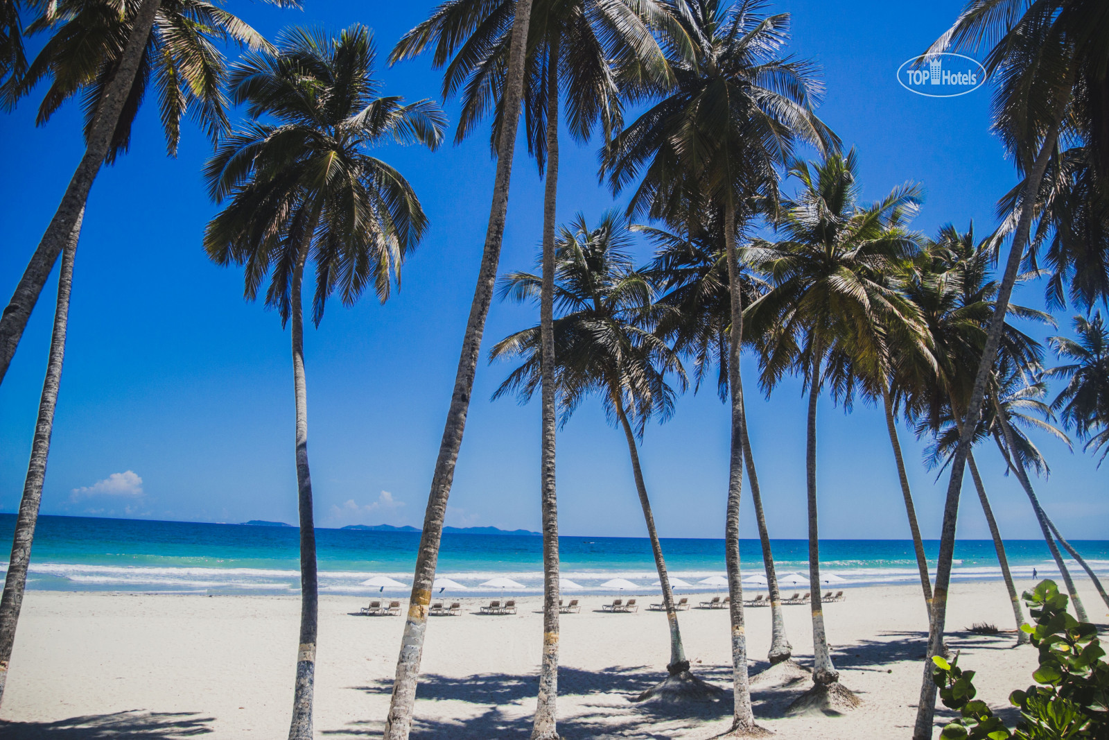 Plus playa el agua 5. Плайя Эль Аква пляжи. Плайя Эль Тирано. Отель Плайя Эль Аква Венесуэла.