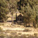 Las Casitas, A Belmond Hotel, Colca Canyon 