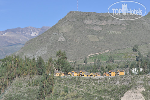 Новые добавленные фото туристов Eco Inn Colca 4*