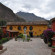 Royal Inka Pisac 