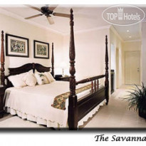 The Savannah 