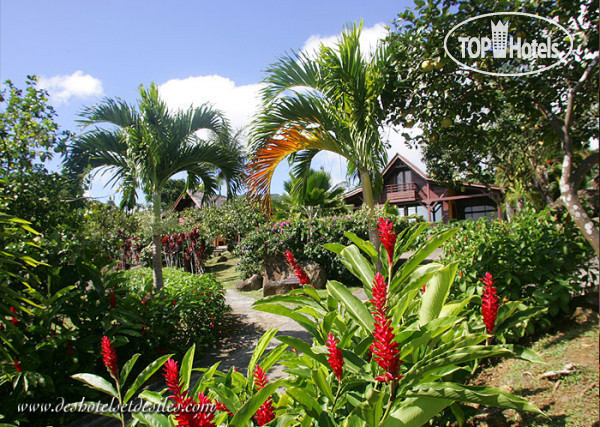 Фото Le Jardin Malanga