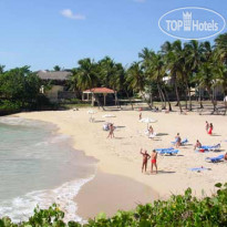 Tropical Dream Island Beach Resort 