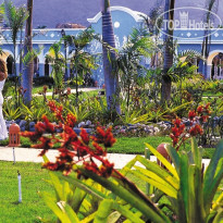 Iberostar Costa Dorada
