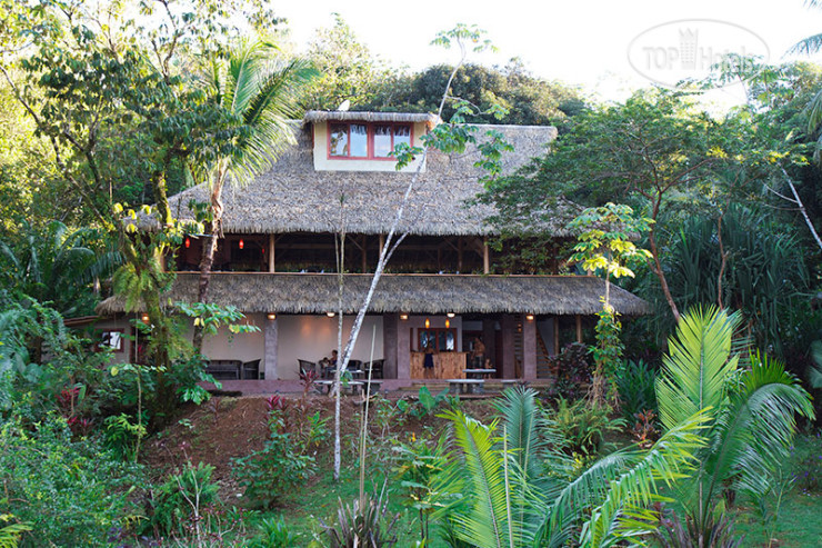 Фото Copa de Arbol Beach and Rainforest Resort