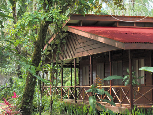 Фото Pachira Lodge