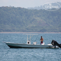 Copa de Arbol Beach and Rainforest Resort 