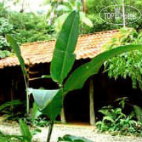 Esquinas Rainforest Lodge 